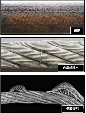 糖心官网APP入口